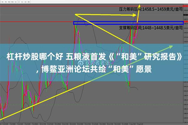 杠杆炒股哪个好 五粮液首发《“和美”研究报告》, 博鳌亚洲论坛共绘“和美”愿景