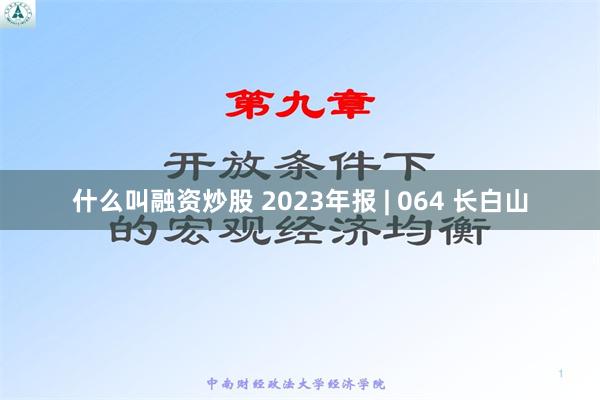 什么叫融资炒股 2023年报 | 064 长白山