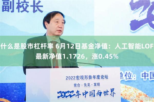 什么是股市杠杆率 6月12日基金净值：人工智能LOF最新净值1.1726，涨0.45%