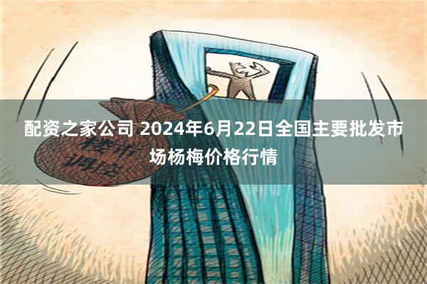 配资之家公司 2024年6月22日全国主要批发市场杨梅价格行情