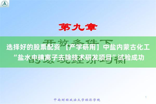 选择好的股票配资 【产学研用】中盐内蒙古化工“盐水中碘离子去除技术研发项目”试验成功