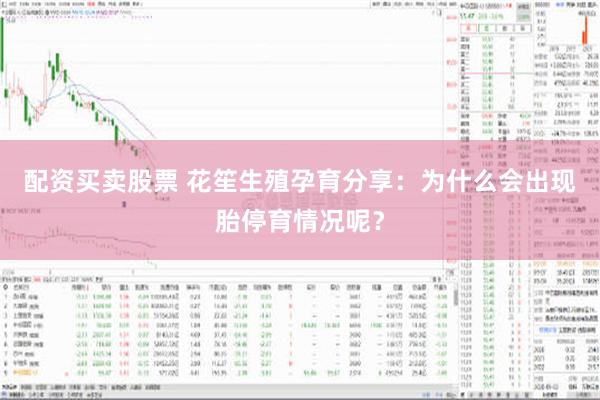 配资买卖股票 花笙生殖孕育分享：为什么会出现胎停育情况呢？