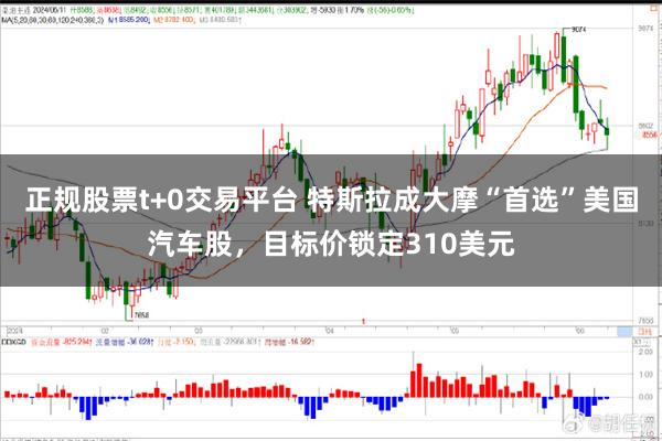 正规股票t+0交易平台 特斯拉成大摩“首选”美国汽车股，目标价锁定310美元