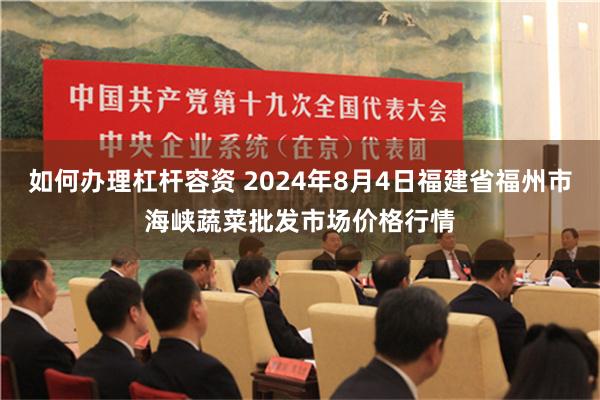 如何办理杠杆容资 2024年8月4日福建省福州市海峡蔬菜批发市场价格行情