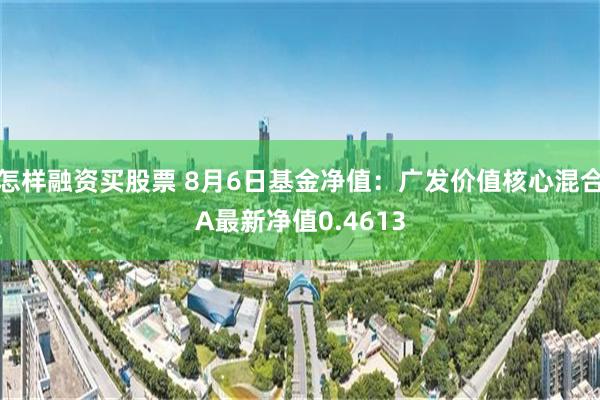 怎样融资买股票 8月6日基金净值：广发价值核心混合A最新净值0.4613