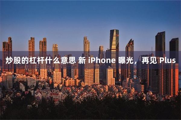 炒股的杠杆什么意思 新 iPhone 曝光，再见 Plus