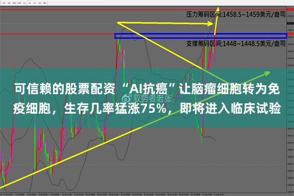 可信赖的股票配资 “AI抗癌”让脑瘤细胞转为免疫细胞，生存几率猛涨75%，即将进入临床试验