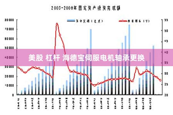 美股 杠杆 海德宝伺服电机轴承更换