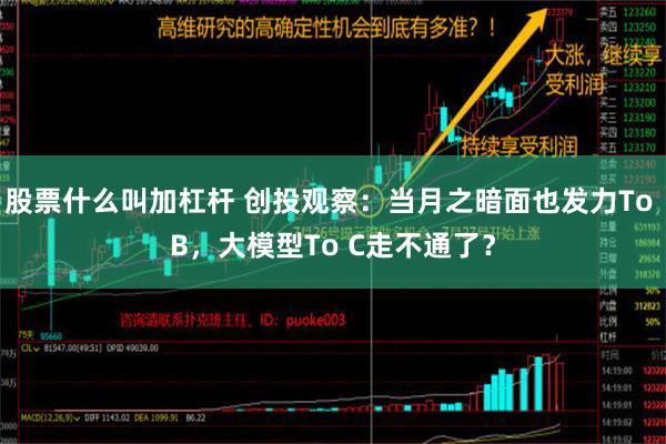 股票什么叫加杠杆 创投观察：当月之暗面也发力To B，大模型To C走不通了？