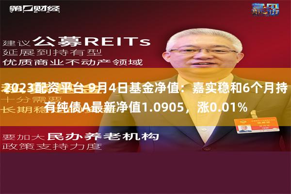 2023配资平台 9月4日基金净值：嘉实稳和6个月持有纯债A最新净值1.0905，涨0.01%