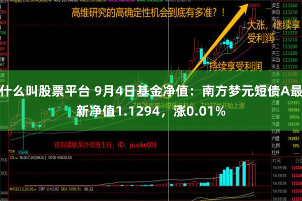 什么叫股票平台 9月4日基金净值：南方梦元短债A最新净值1.1294，涨0.01%