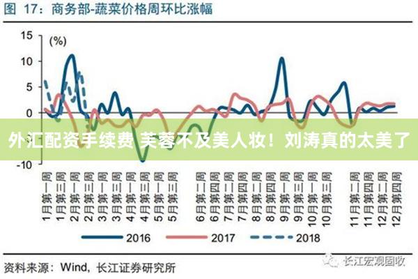 外汇配资手续费 芙蓉不及美人妆！刘涛真的太美了