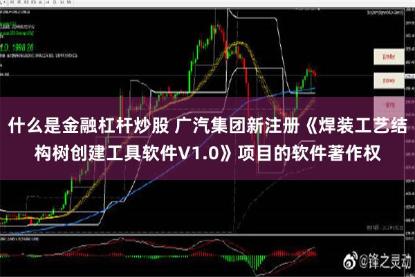 什么是金融杠杆炒股 广汽集团新注册《焊装工艺结构树创建工具软件V1.0》项目的软件著作权