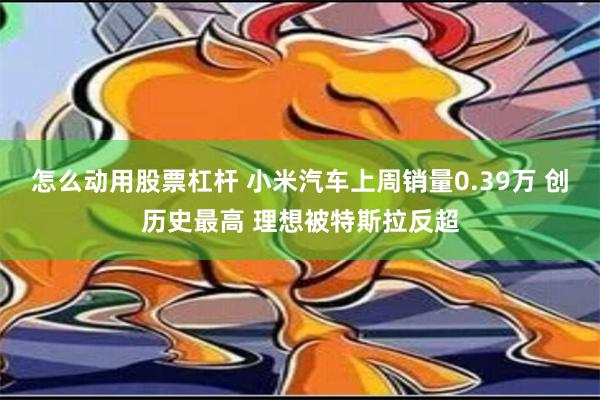 怎么动用股票杠杆 小米汽车上周销量0.39万 创历史最高 理想被特斯拉反超