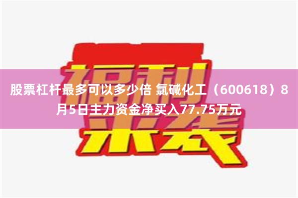 股票杠杆最多可以多少倍 氯碱化工（600618）8月5日主力资金净买入77.75万元