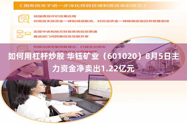 如何用杠杆炒股 华钰矿业（601020）8月5日主力资金净卖出1.22亿元