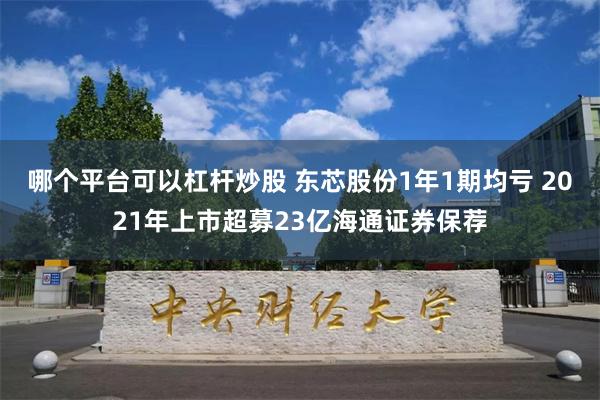 哪个平台可以杠杆炒股 东芯股份1年1期均亏 2021年上市超募23亿海通证券保荐