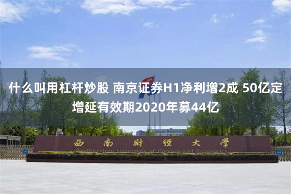 什么叫用杠杆炒股 南京证券H1净利增2成 50亿定增延有效期2020年募44亿