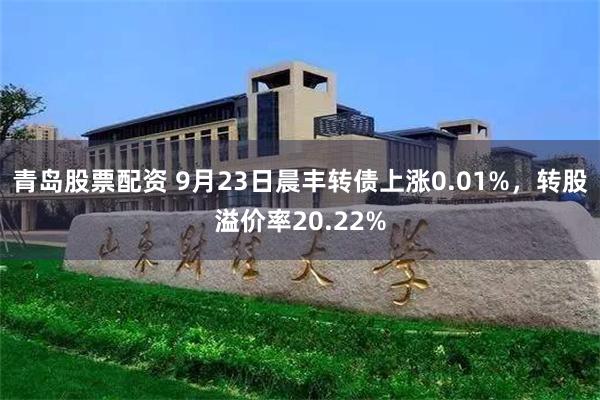 青岛股票配资 9月23日晨丰转债上涨0.01%，转股溢价率20.22%