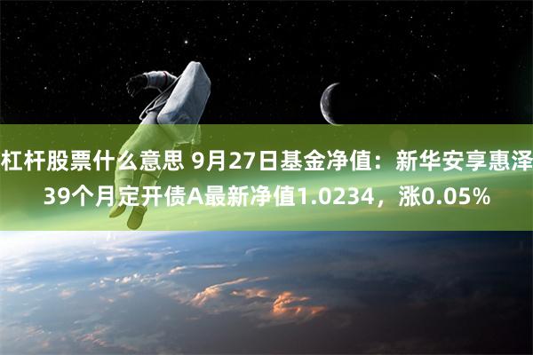 杠杆股票什么意思 9月27日基金净值：新华安享惠泽39个月定开债A最新净值1.0234，涨0.05%