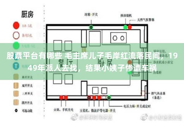 股票平台有哪些 毛主席儿子毛岸红流落民间，1949年派人去找，结果小姨子惨遭车祸