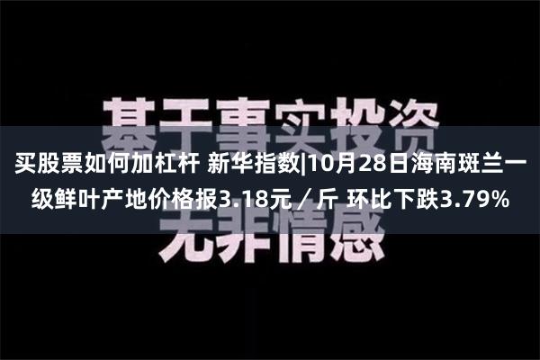 买股票如何加杠杆 新华指数|10月28日海南斑兰一级鲜叶产地价格报3.18元／斤 环比下跌3.79%