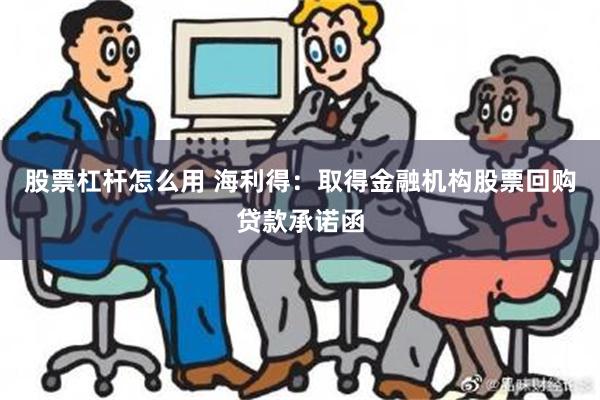 股票杠杆怎么用 海利得：取得金融机构股票回购贷款承诺函