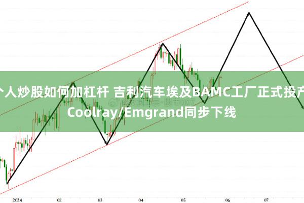 个人炒股如何加杠杆 吉利汽车埃及BAMC工厂正式投产 Coolray/Emgrand同步下线