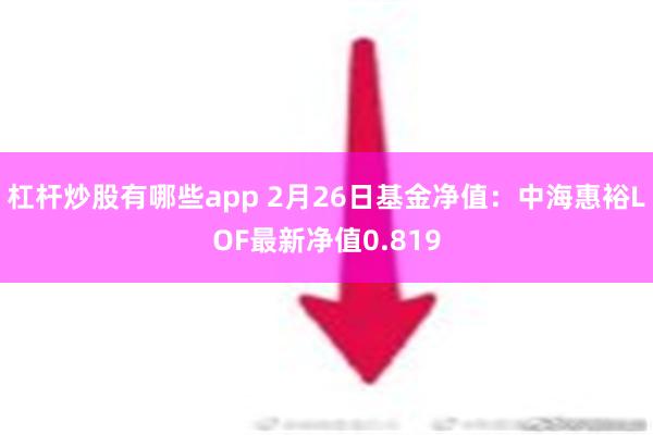 杠杆炒股有哪些app 2月26日基金净值：中海惠裕LOF最新净值0.819